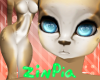 ZinPia Fan Poster