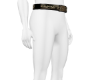 Chinese Guardian belt