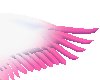Pink rave wings