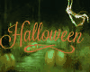 HALLOWEEN ~ SPIDERSPATCH