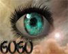 GOGO}Acute eye