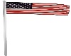 USA Flag