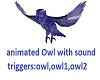 The Blue Owl animated