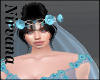 Sky Celeste Wedd Veil