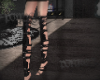 GUISEPPE GLADIATOR