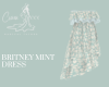 Britney Mint Dress
