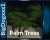 [BD] Palm Trees