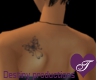 }T{ SD Butterfly tattoo