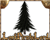 [LPL] Tall Pine