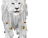 White Pet Lion M