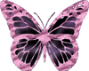 pink/black butterfly
