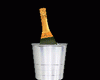 Ice Bucket With Bottle