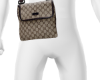 bag gcc