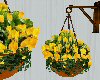 Hanging flowers yellow