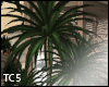 Trio plant