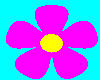 Flower Power Pink Yellow