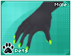 [Pets] Vixen | paws