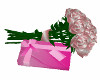 pnk roses &gift(no pose)