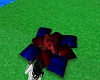 BLUE -BLACK-RED PILLOWS