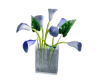 Blue Calla Lilies