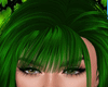 DC..PATRICKS BANGS