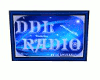 DDL Radio Logo