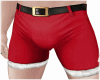 Santa Shorts