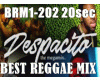 [R] Best Reggae mix