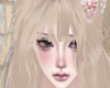 NNN.Inaba橘猫