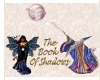 Book of Shadows W/Wizard