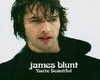 James Blunt Your Beautif