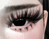 My Lashes