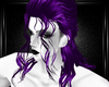 purple prince hairs