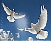 A~HEAVENLY DOVES FLYING