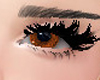 ORANGE EYS