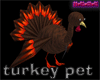 turkey pet
