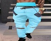 skyblue pants