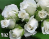 ◘ White Roses + Poses