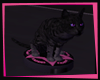 [L] Kitty Roomba