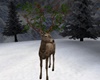 Deer Decor Ver 3