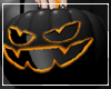 Pumpkin Blk Bag