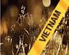MGI VIETNAM SASH