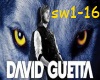 She wolf-David Guetta