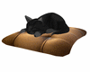 sleeping black kitty
