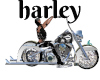 harley davidson  bike