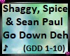 Shaggy, Sean GDD10