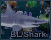 Blue/Shark
