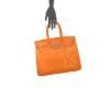 Il Birkin Leather Bag v7
