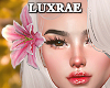 𝕃ℝ® Bloom Lilies