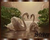 SG/Swan Pic 1